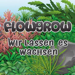 www.flowgrow.de