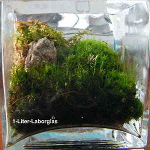 1 Liter Laborglas beschriftet klein