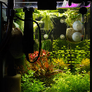 Aquarium-Seitenansicht.jpg