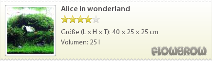 $Alice in wonderland