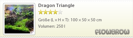 $Dragon Triangle