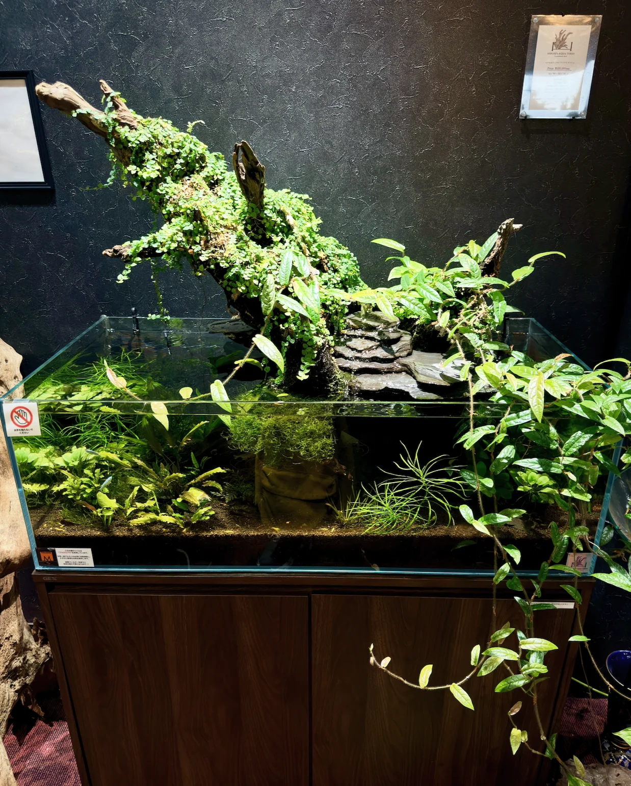1791894847749.webp