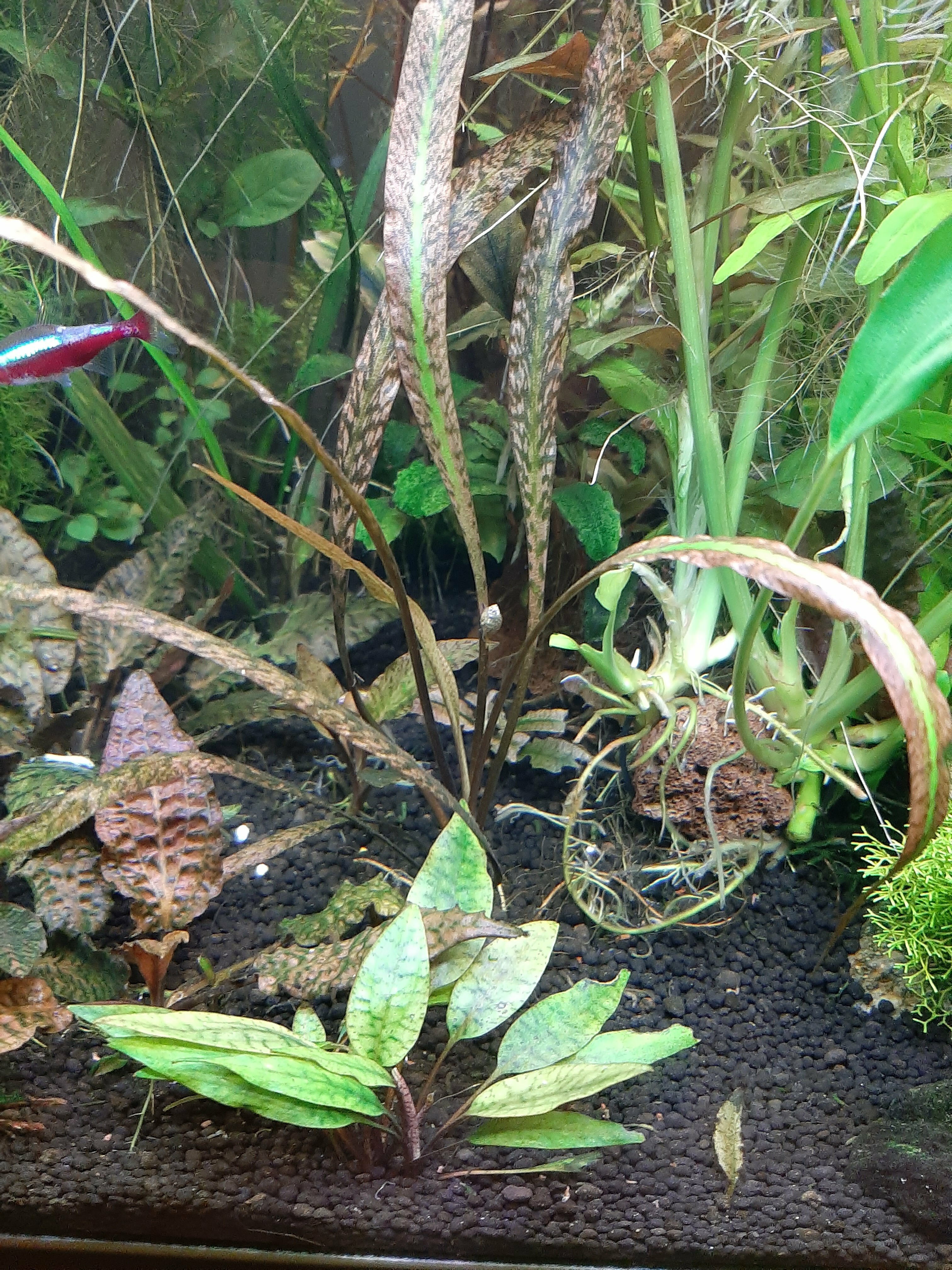 20201205_165521.jpg