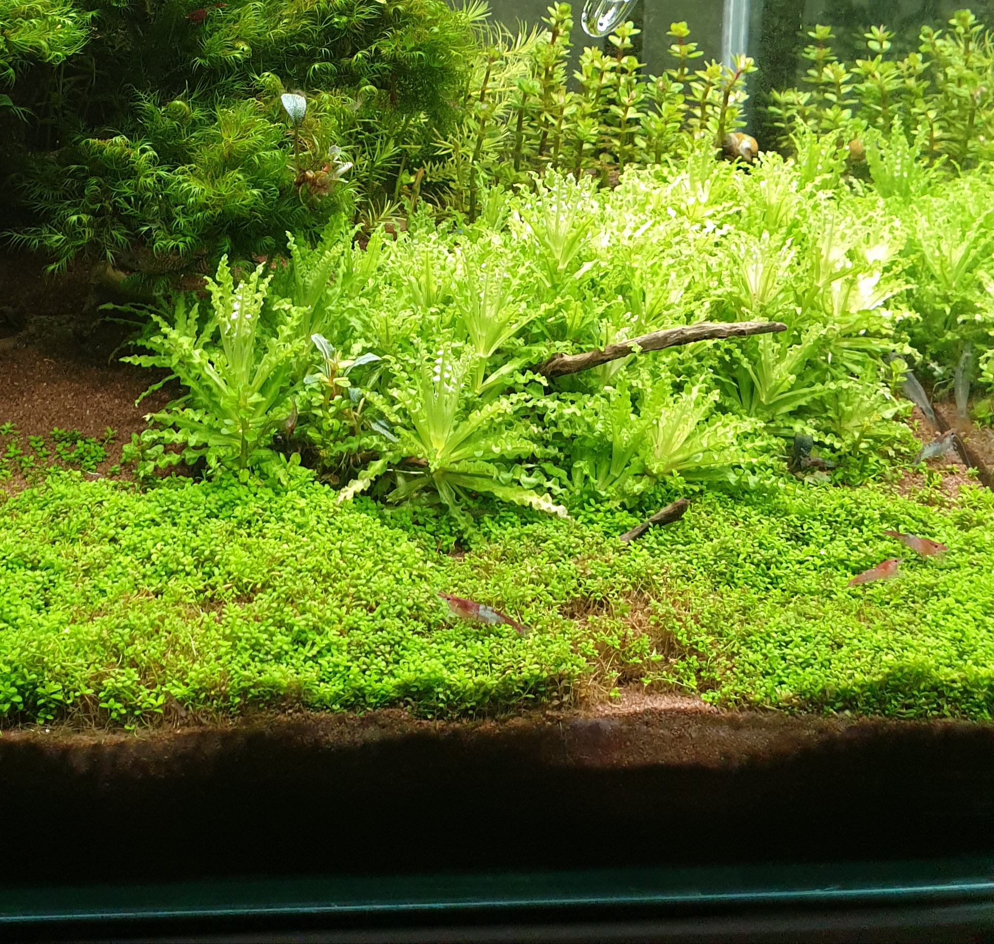 20201212_221348.jpg
