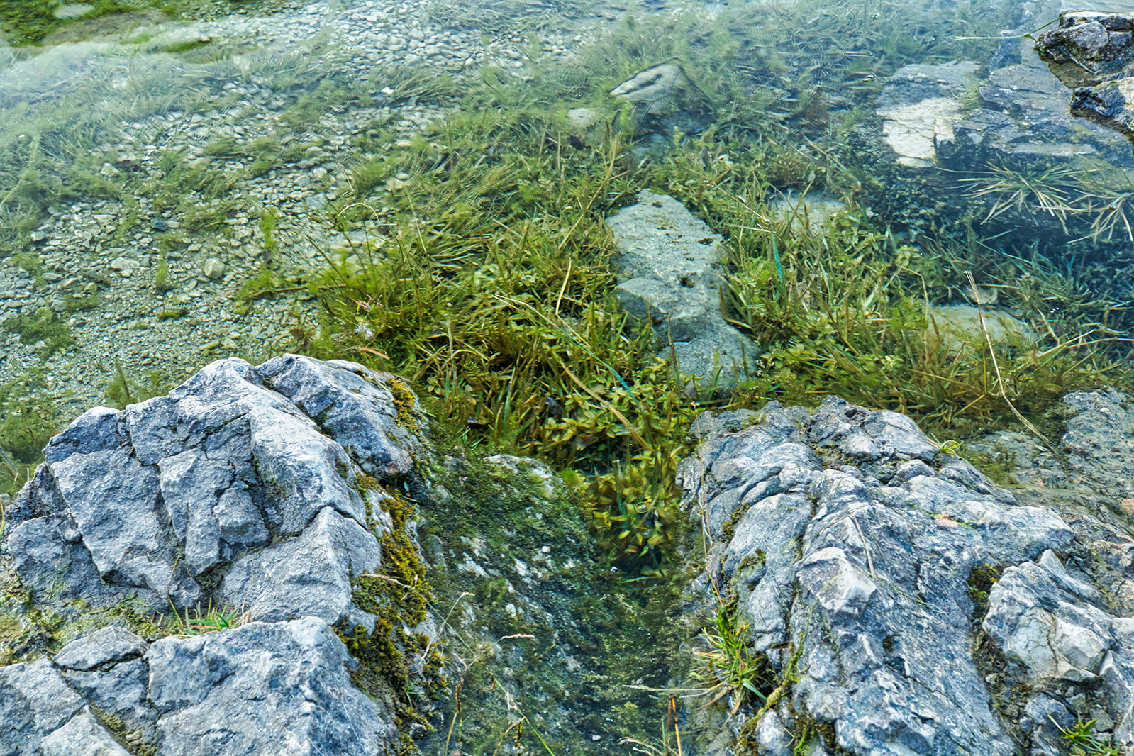 2020_09_19_0215_2.jpg