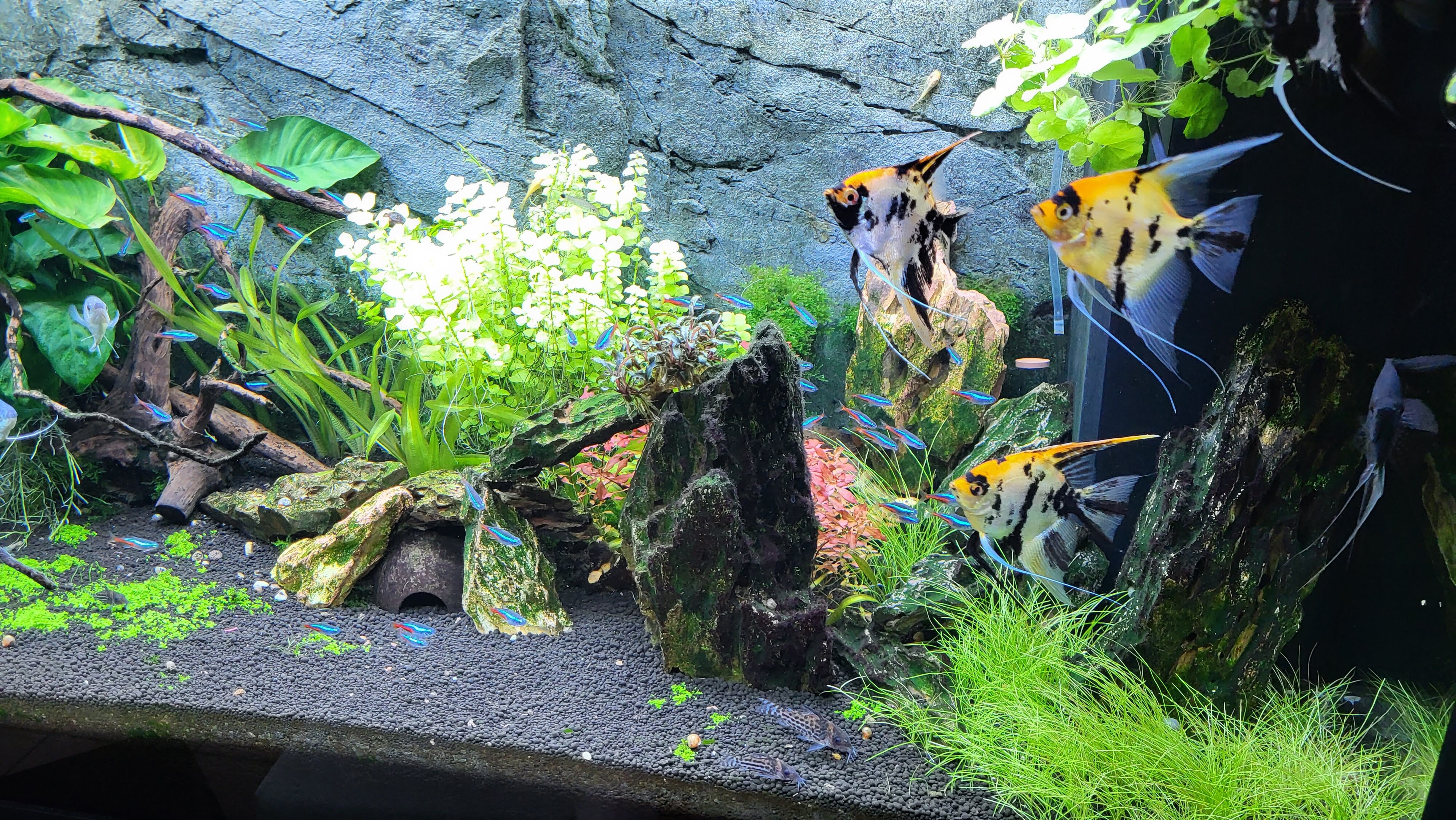 20230310_105112.jpg