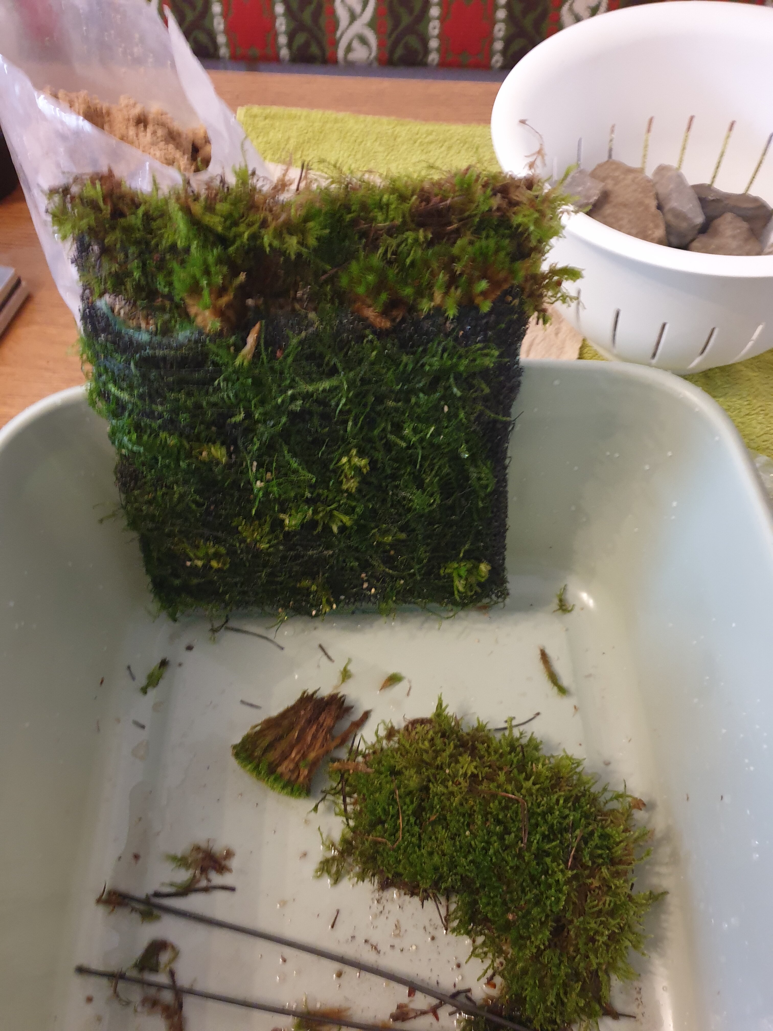 20251027_140106.jpg 20251027_140106.jpg