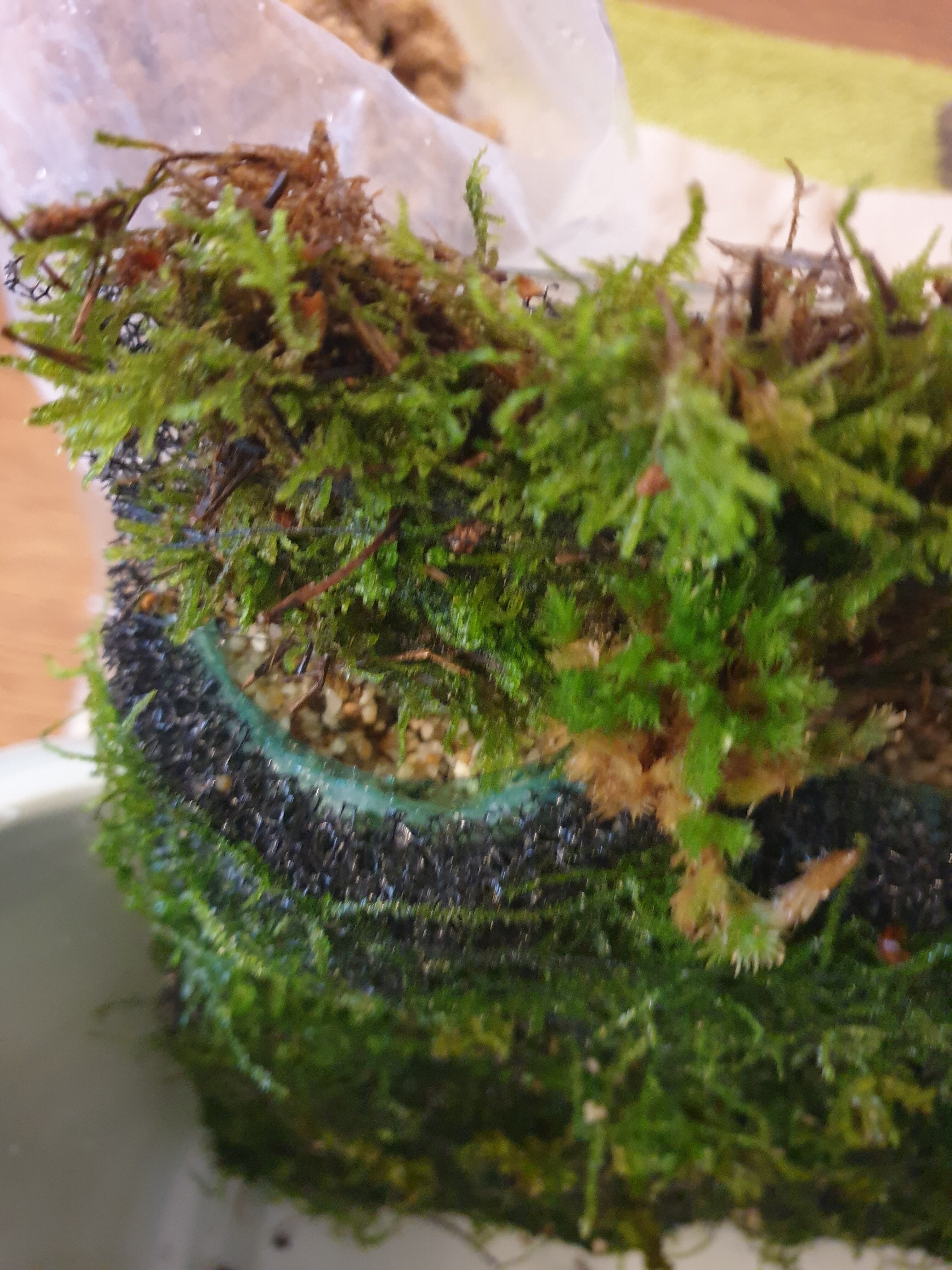 20251027_140112.jpg 20251027_140112.jpg