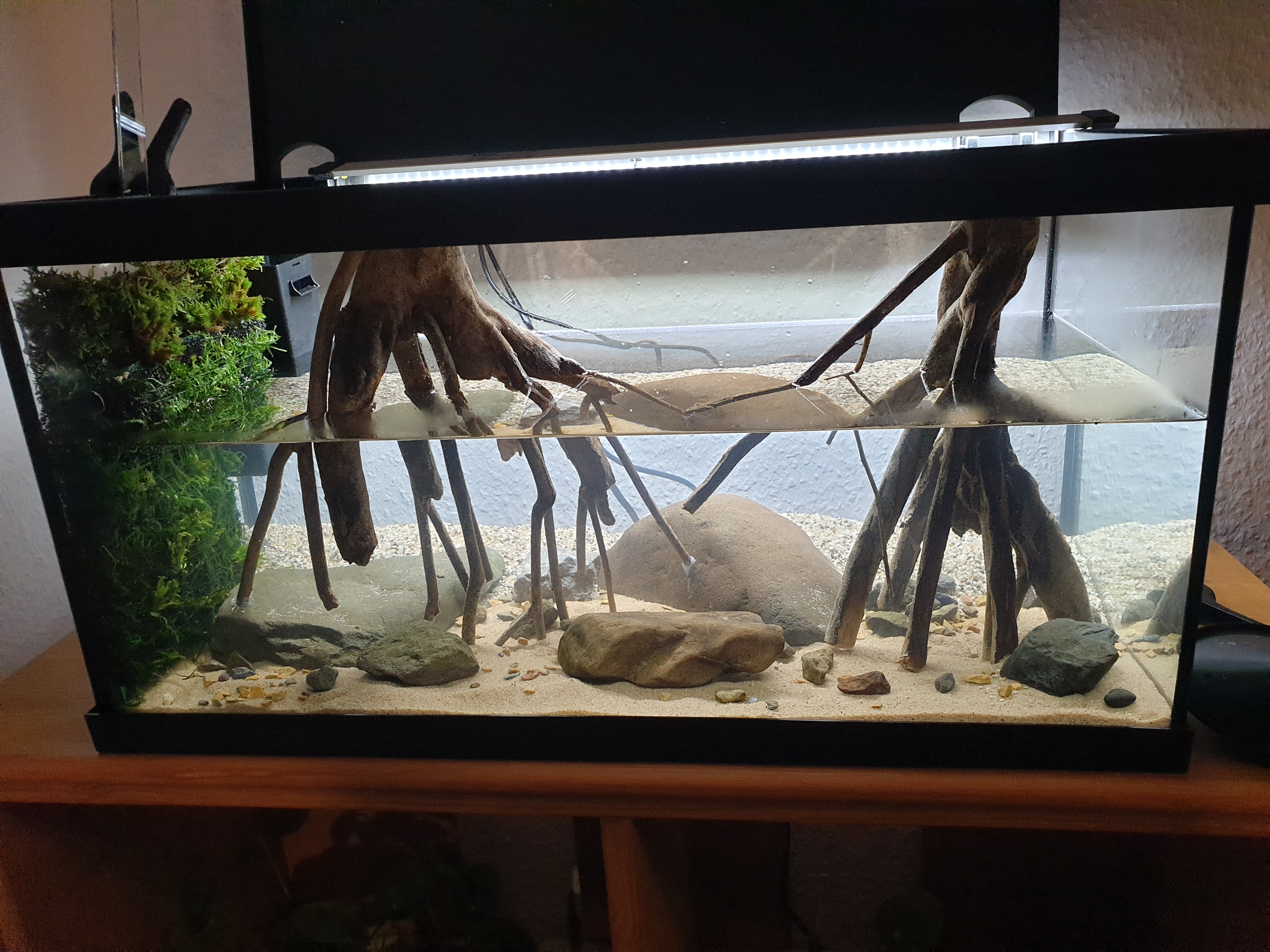 20251027_175846.jpg 20251027_175846.jpg