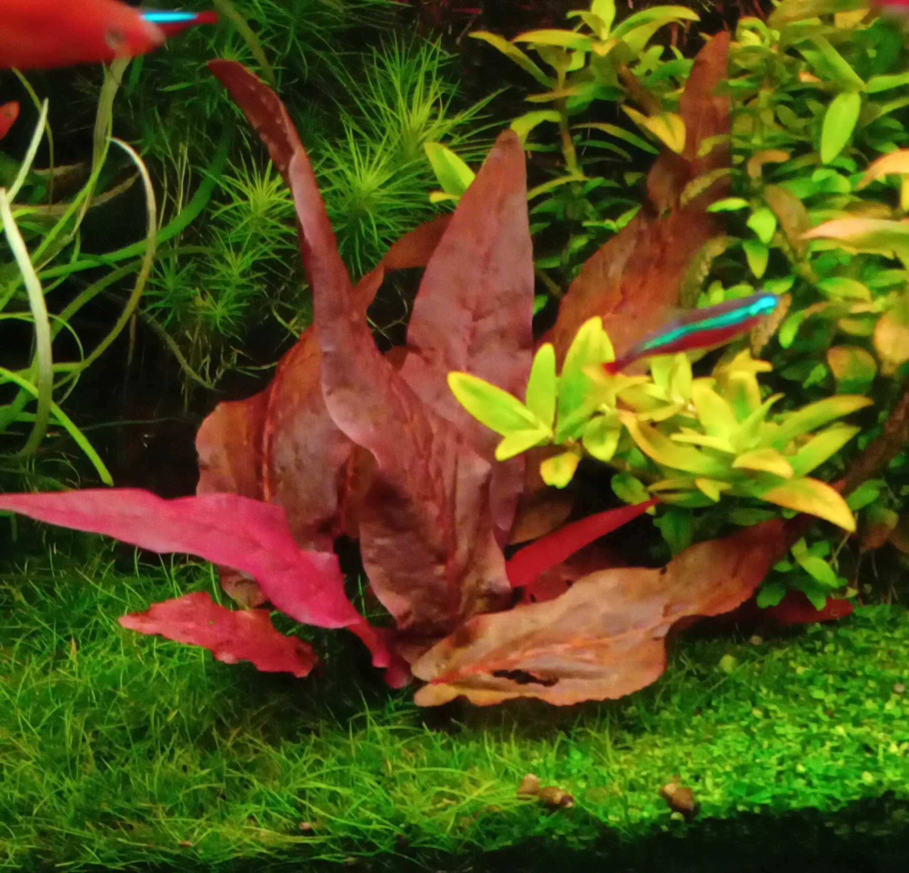 20260110_091026.webp