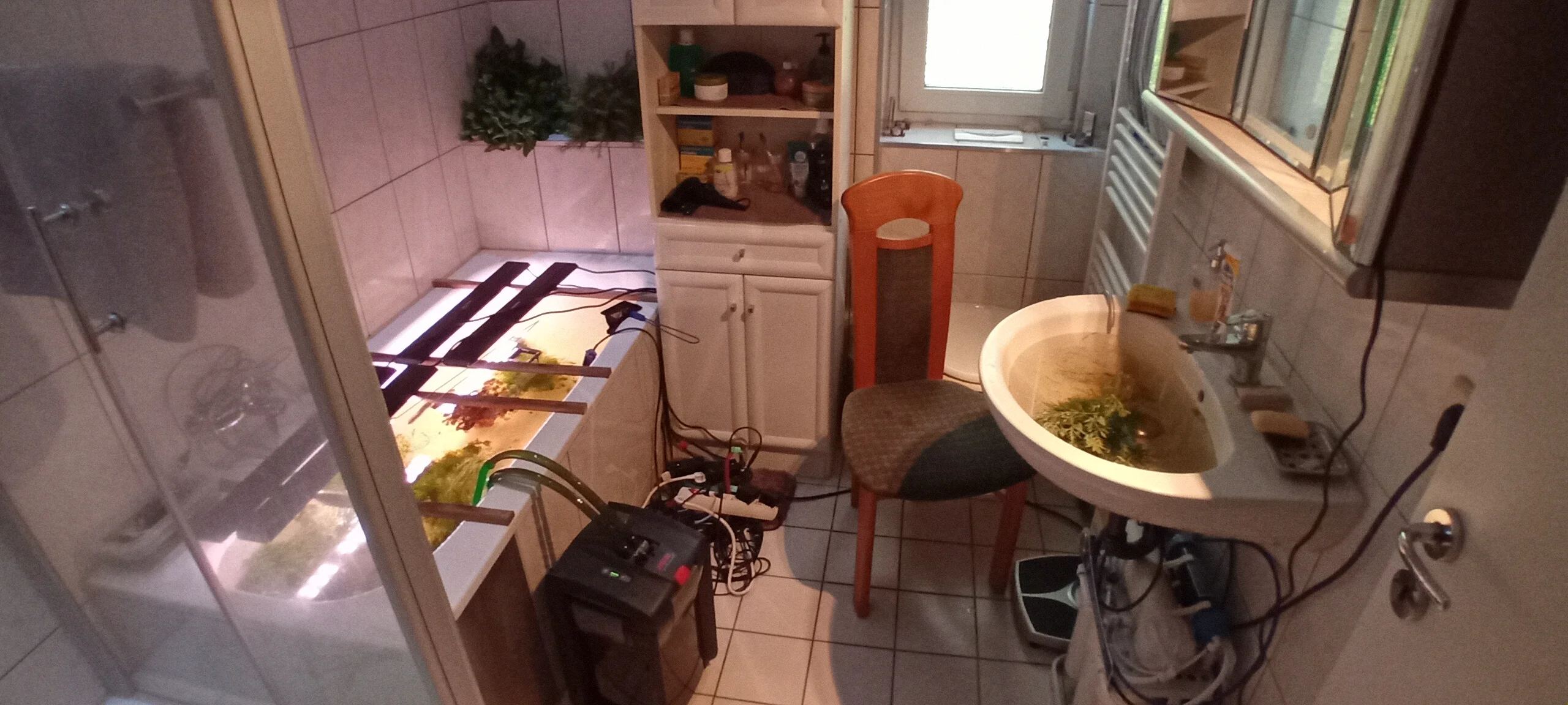 20260618_071149.webp