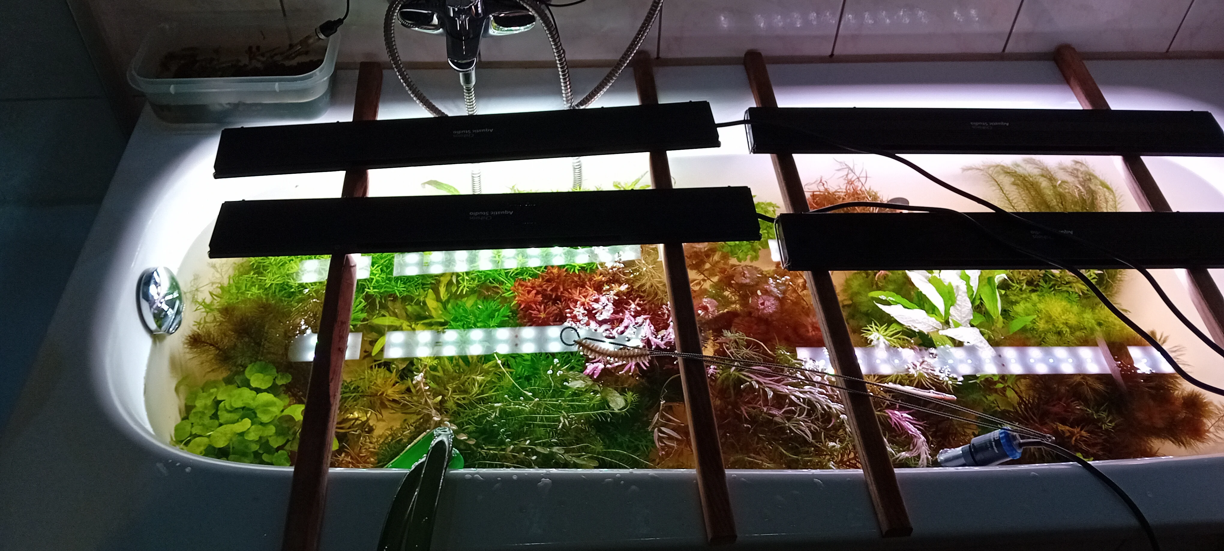 20260618_104945.webp