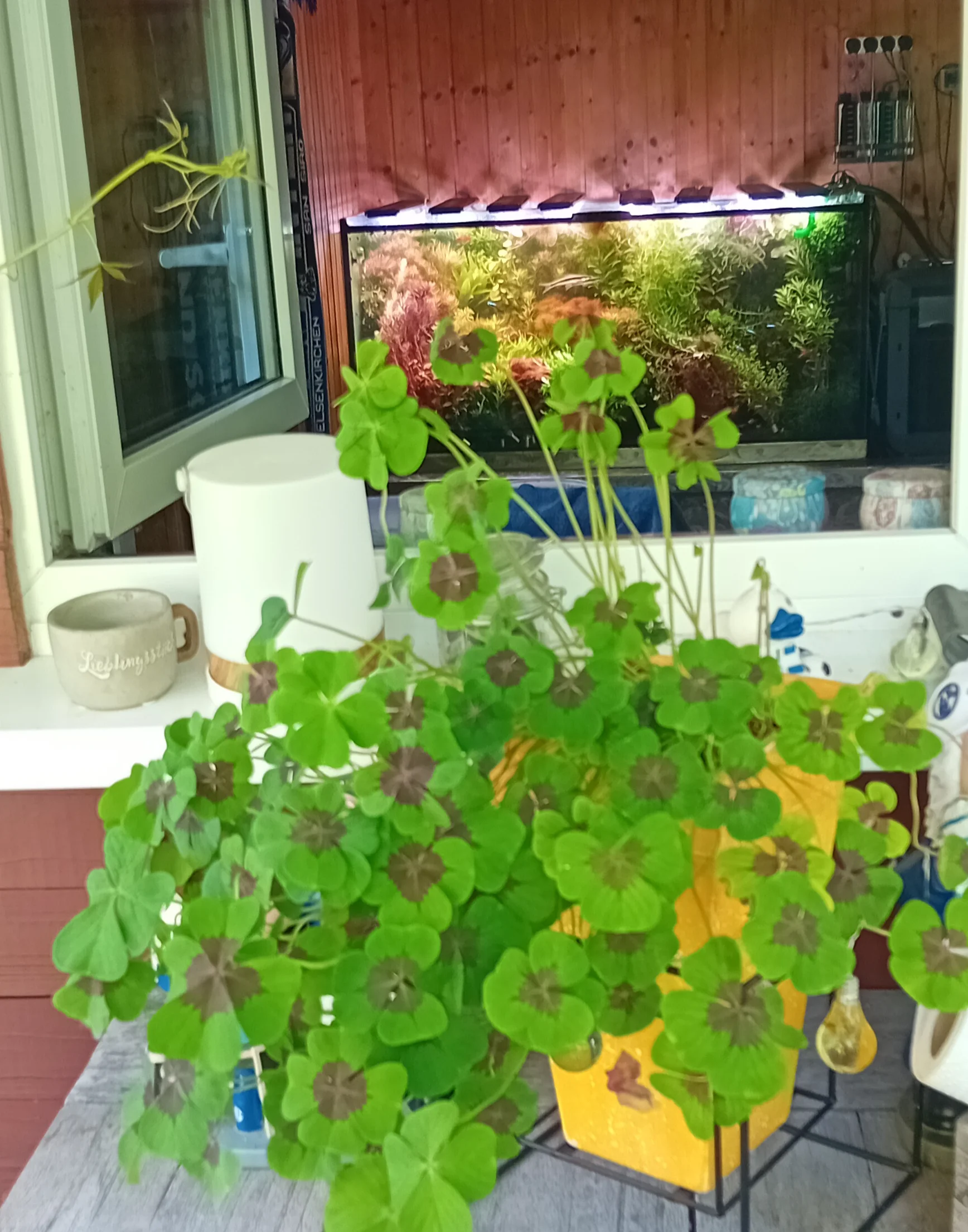 20260706_171830.webp