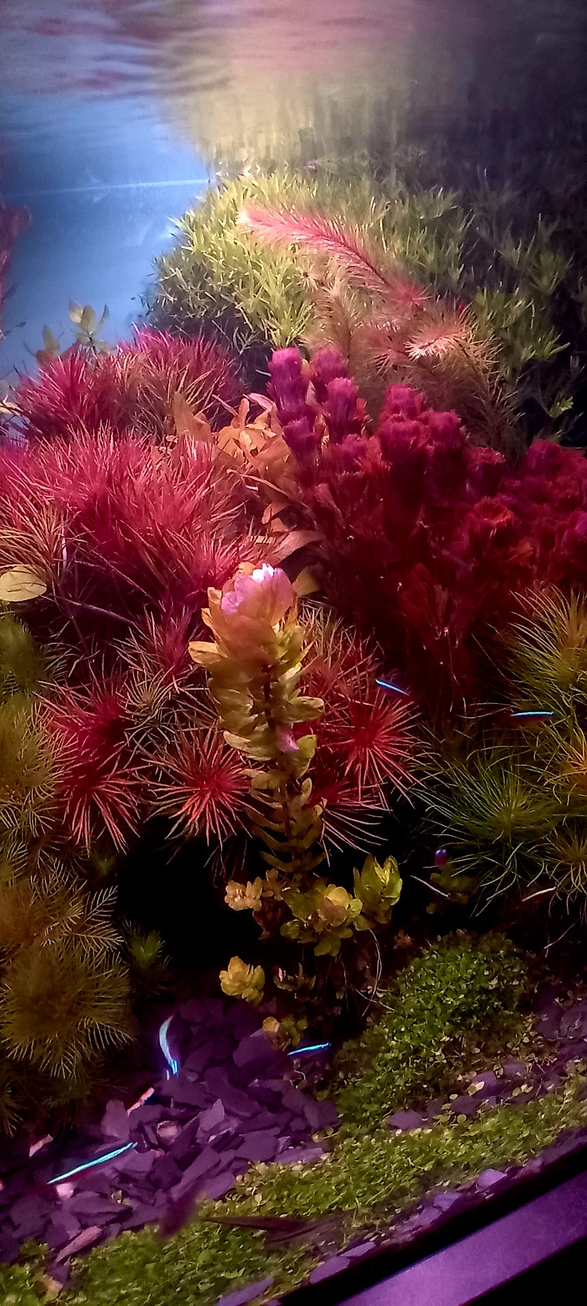 20260818_082413.webp