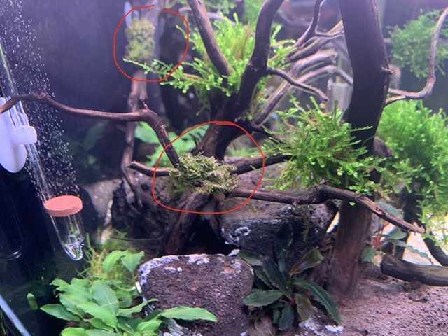 7D2E4702-6471-4659-90D3-3852753BD94D.jpeg