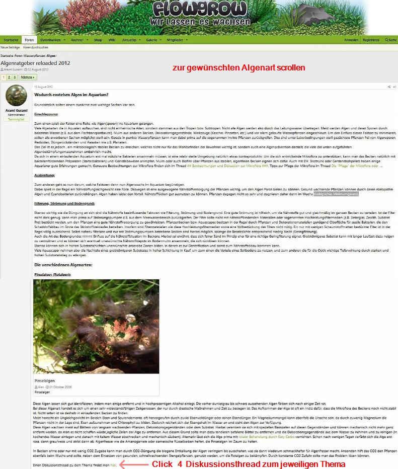 Algenthema Anleitung 3.jpg