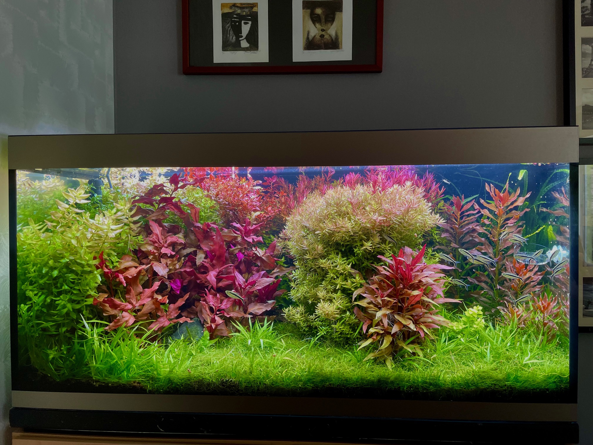 Aquarium.jpg