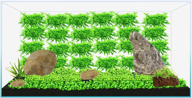 Aquarium.PNG