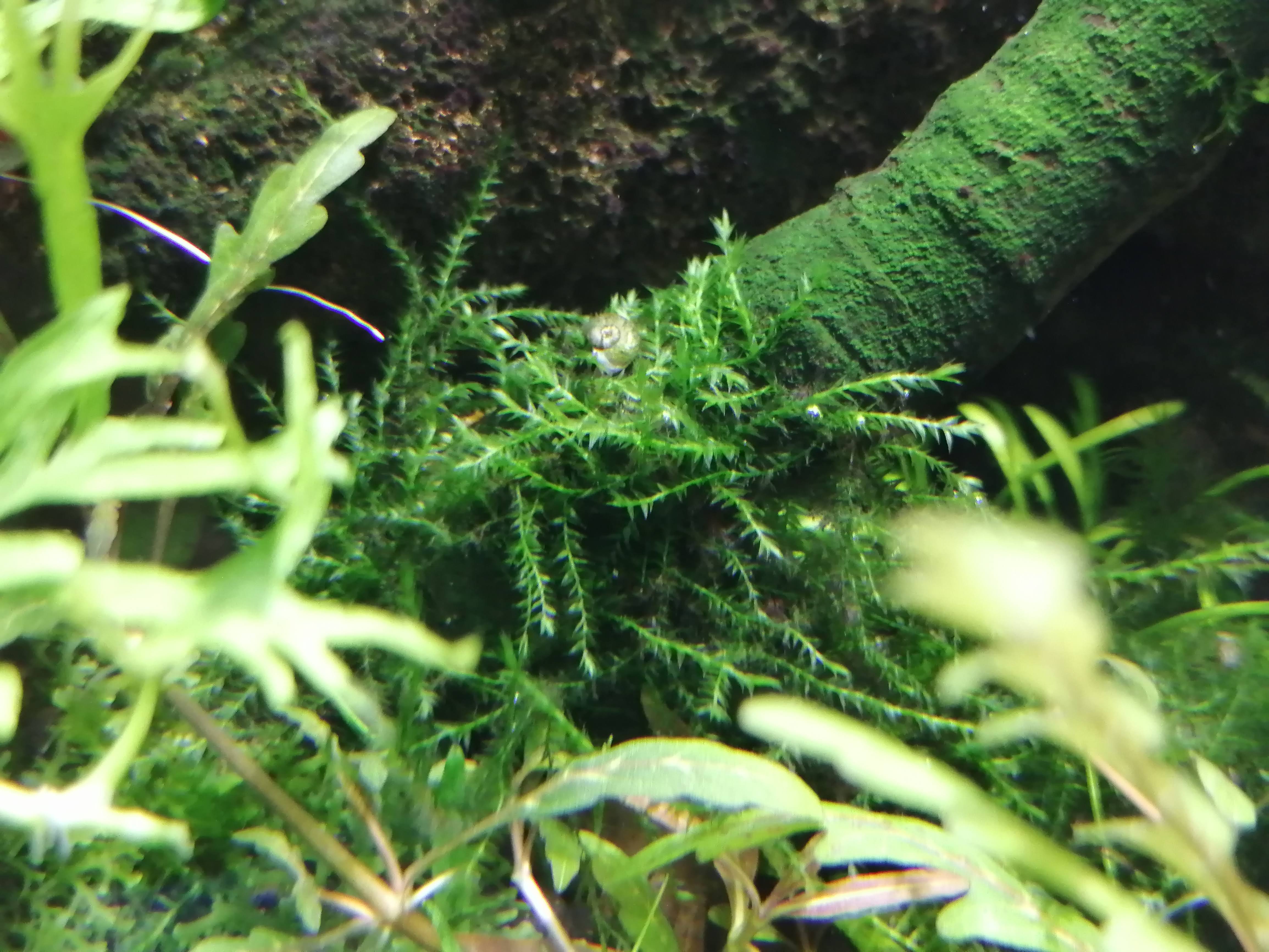 IMG_20201222_175647.jpg