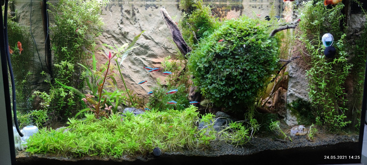 IMG_20210524_142549_copy_1280x576.jpg