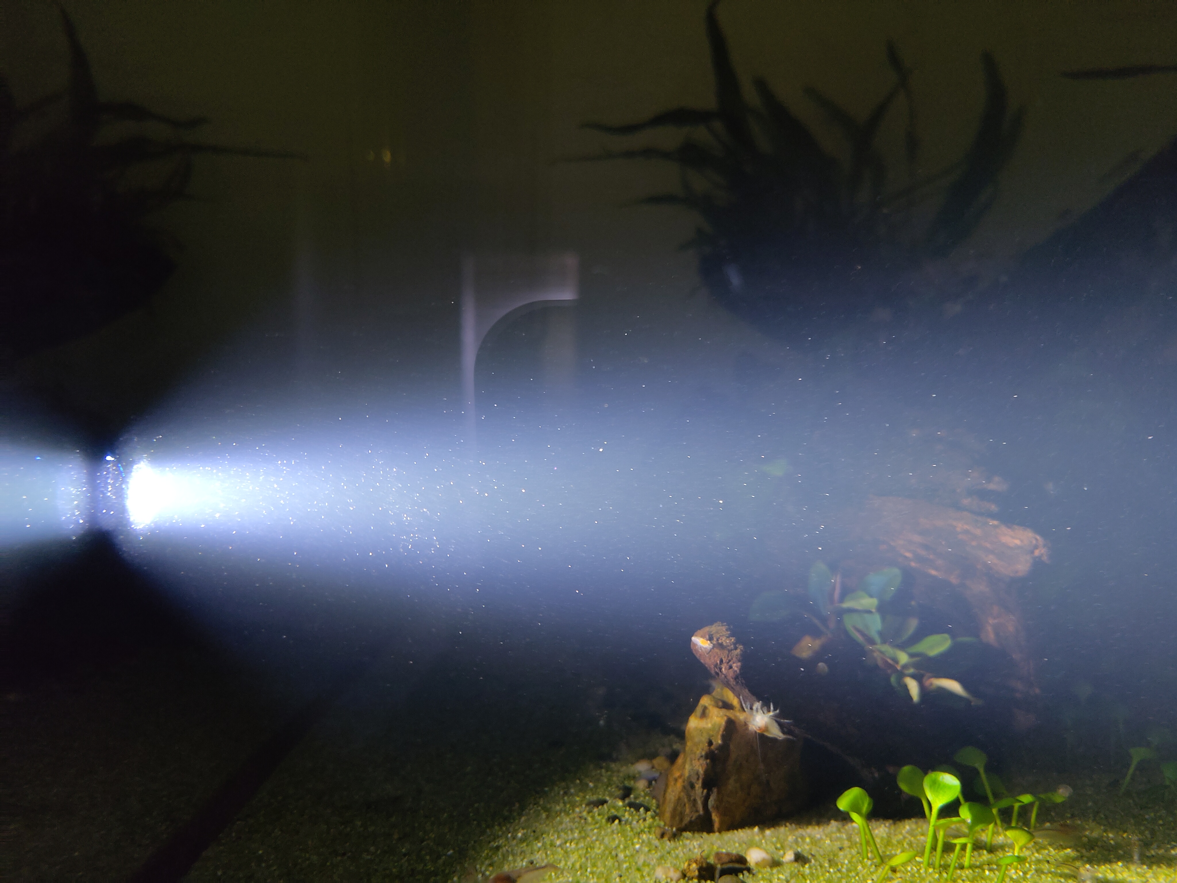 links unten Sand.jpg