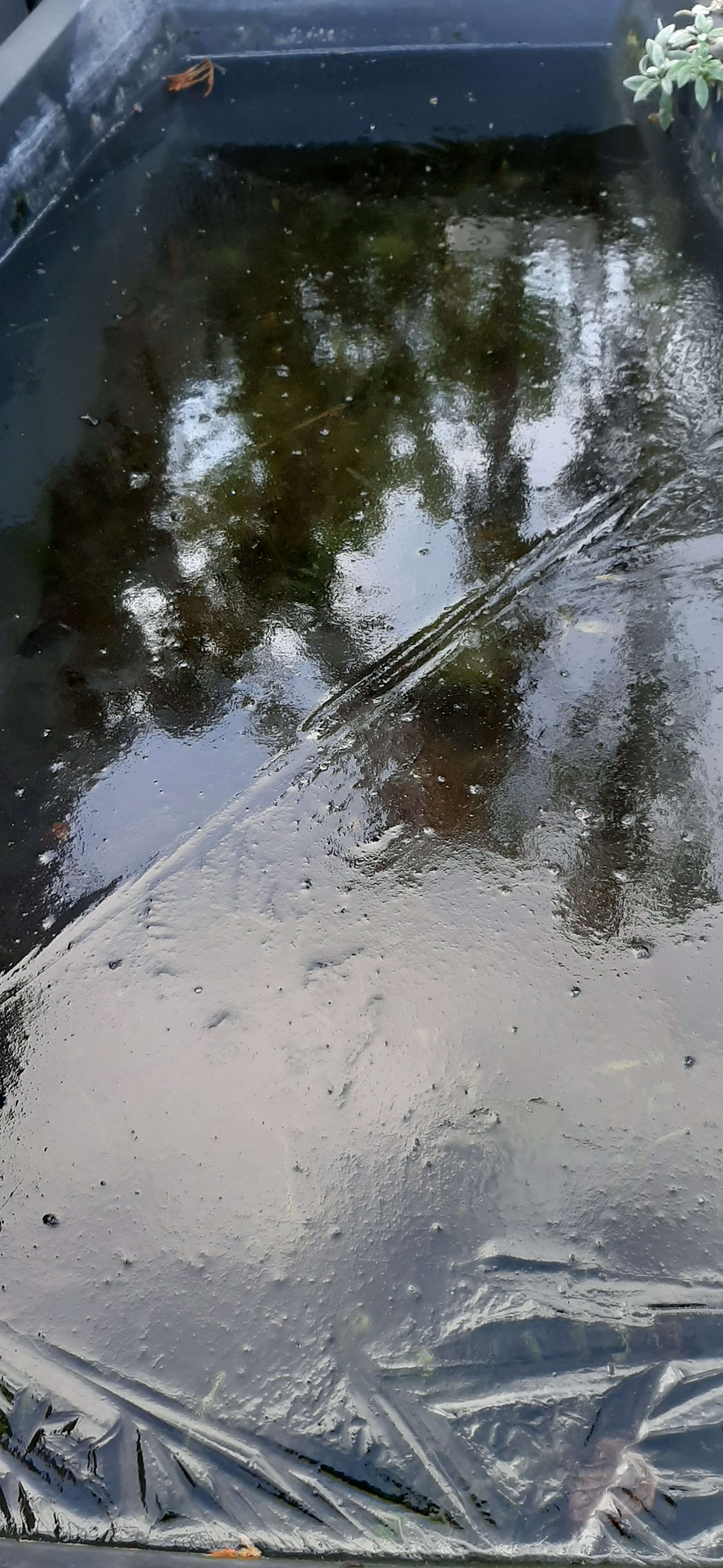 TK 12 2020 0002.jpg