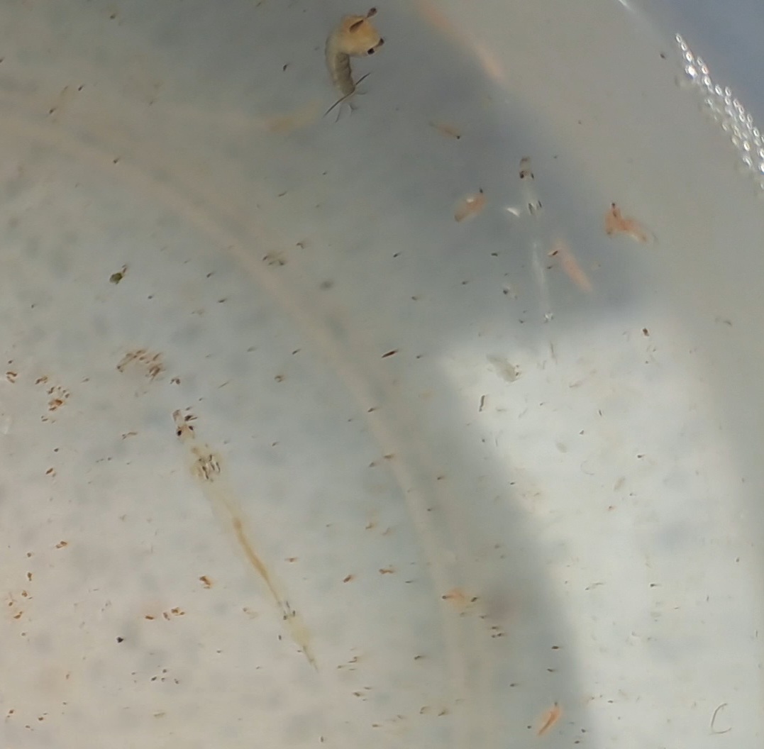 VideoCapture_20240902-101959.jpg