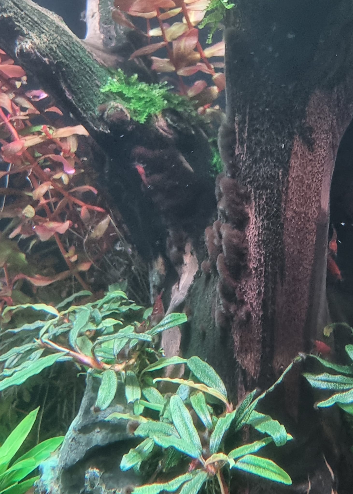 WhatsApp Bild 2025-10-26 um 10.33.47_437d507b.jpg