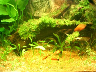 PIC_0005.jpg