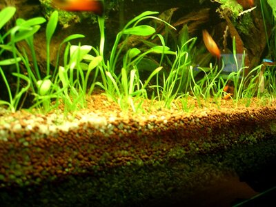 PIC_0007.jpg