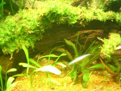 PIC_0008.jpg