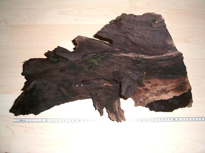 PIC_0001.JPG