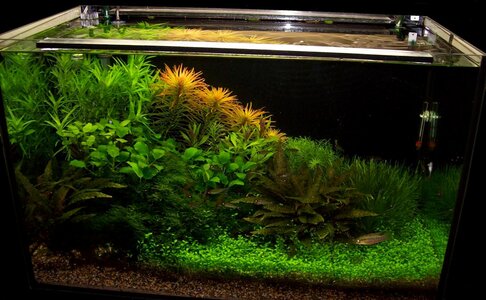 Bild 003a (Custom).jpg