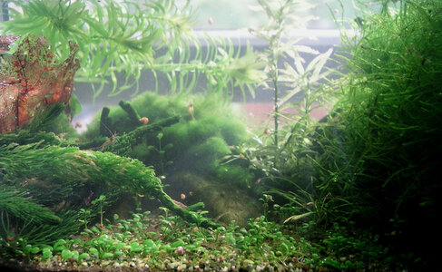 Test200509.jpg