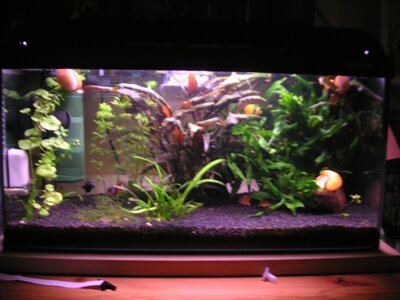 SANY7410.JPG