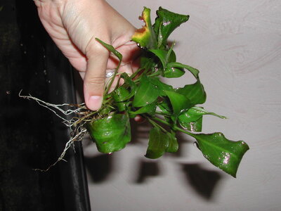 DSCN3117.JPG