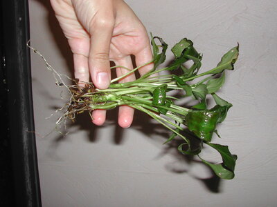 DSCN3118.JPG