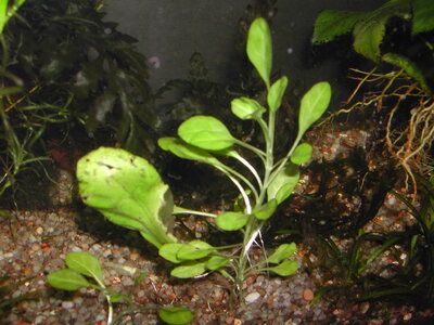 DSCN3121.JPG