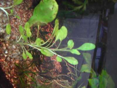 DSCN3123.JPG