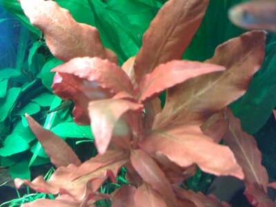 Bild 253.jpg