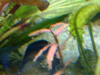 K640_13092009088.JPG