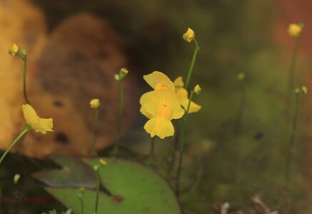 IMG_1180n.JPG