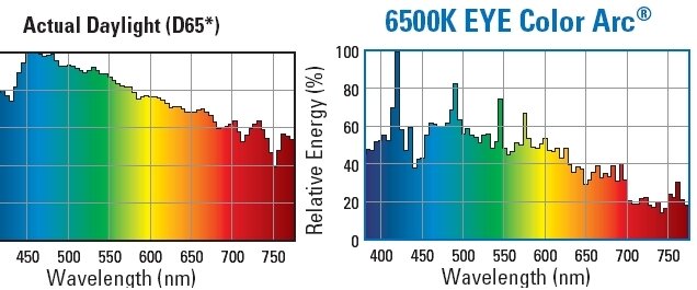 Eye Iwasaki 6500K.jpg