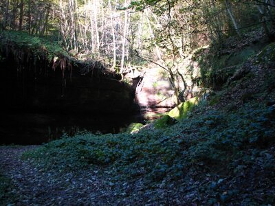 Aqua-Aufbau-Vorlage (Saufelsen) 002_800x600.jpg