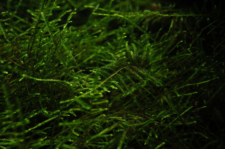DSC_3396.jpg