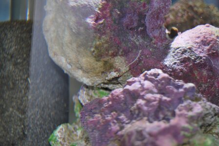 DSC_0161.JPG