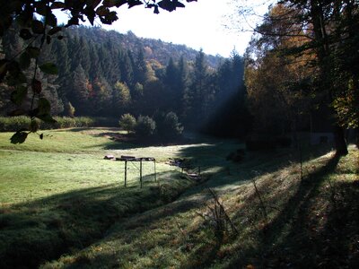 Hollertal-Herbstimpressionen 007_1600x1200.jpg