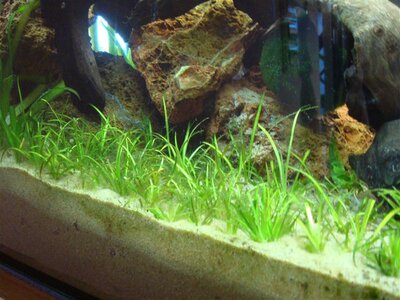 DSC04990 (Medium).JPG