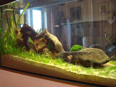 DSC04996 (Medium).JPG