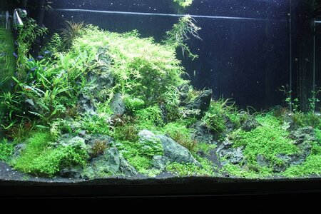 Underwaterlove 2 006_(1024_x_768).jpg